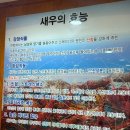 동작그만새우전문점 | 창원 상남동 제철 새우맛집 [동작그만새우전문점] 내돈내산 솔직후기