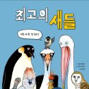 새들 이미지