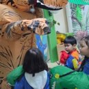 튼튼어린이집 이미지