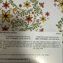 정관장양평점 | 25년 양평 코스트코 추석 선물세트 가격 모음 실제 구매한 제품 후기
