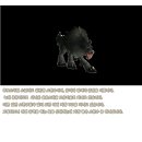 펫클래식 이미지