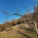 신금공인중개사사무소 이미지