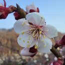 추평농장 이미지