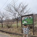 목장 | 용인 아이랑 가기 좋은 농도원목장 후기 예약 꿀팁부터 체험 총정리