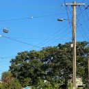 꽃비민박 이미지