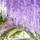 이충주공3(반지마을3단지) 이미지