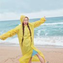 정동진놀자 이미지