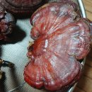 영지산행 이미지