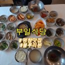 평창중앙로 | 평창맛 부일식당 식신 블루리본 인증식당 내돈내산 솔직후기