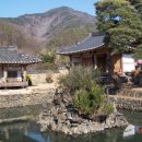 연당1로 Daum카페