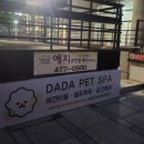 다다펫스파 이미지