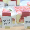 마카롱카페꼬끄시니