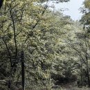 적암리 | 100대 명산 구병산(876m)