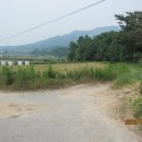 인화초등학교 네이버블로그