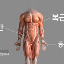 바디코어 트레이닝센터 이미지