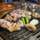 달빛돈가 티스토리