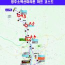가흥안뜰공원 | 2026 영주 소백산 마라톤 하프코스 상세 후기(누적고도)