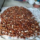 재철농장 이미지