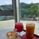 카페베리 앞 도로 | [프레베리 서오릉] 고양 케이크 카페 내돈내산 후기, 주차, 메뉴판