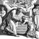 선한부자농장 이미지