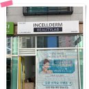미사인셀덤