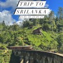 라하(RAHA) 이미지