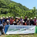 회덕농장 이미지