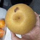 배숙유통