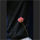 종로-종로-종로-종-358 이미지