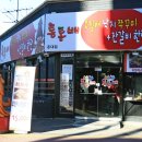 못된고양이