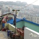 닥밭골 벽화마을 이미지