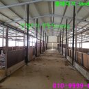 한우 태양광발전소 이미지