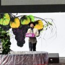 2015 광명동굴 대한민국 와인 페스티벌 이미지