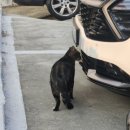 정성환동물병원 이미지