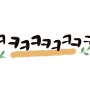 다팜몰 이미지