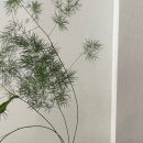 리피스튜디오 이미지