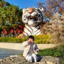 나들이 | 서울대공원 단풍구경 아이와 동물원 나들이 후기 입장료, 할인