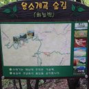 용소빌딩 이미지