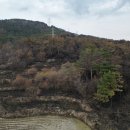 산불