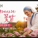 (주)영천신문 | 인간극장데레사의꽃밭: 데레사의 꽃밭 편 이야기·촬영지·명장면