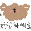 장보는강아지와 고양이 성성점 이미지