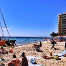 일주농장 | 하와이 신혼여행 패키지 추천 코스｜섬일주, 스냅 촬영, 핑크 트롤리