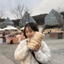 정듦 | 울산찍먹 백수일지