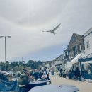 인싸피시 이미지