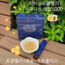 마니스 | 마시는로얄젤리 마니스 로얄5000 프로폴리스와 화분까지