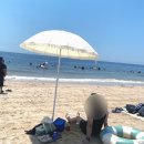 스마트펜션 | 충남 보령 머드축제 : 주차, 폐막식, 대천해수욕장, 꿀팁, 준비물, 내돈내산