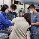 서울동물영상종양센터 이미지