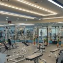 삼성스포츠 이미지