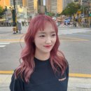 로즈미용실 이미지
