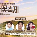 제27회 포천 산정호수 명성산 억새꽃 축제 이미지